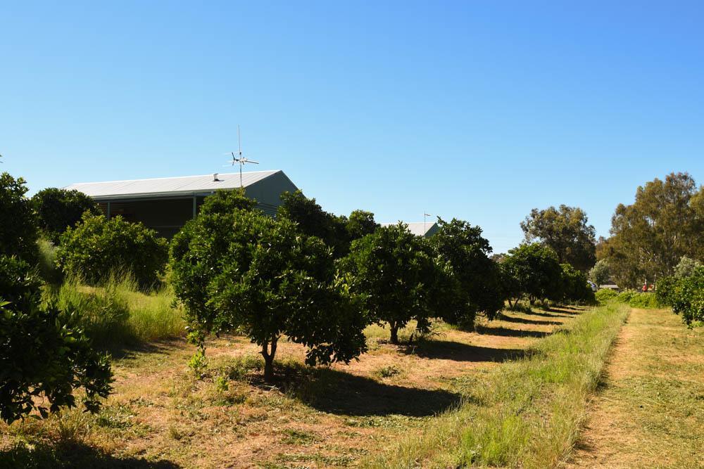 Swan Valley Sisters Henley Brook Exteriér fotografie