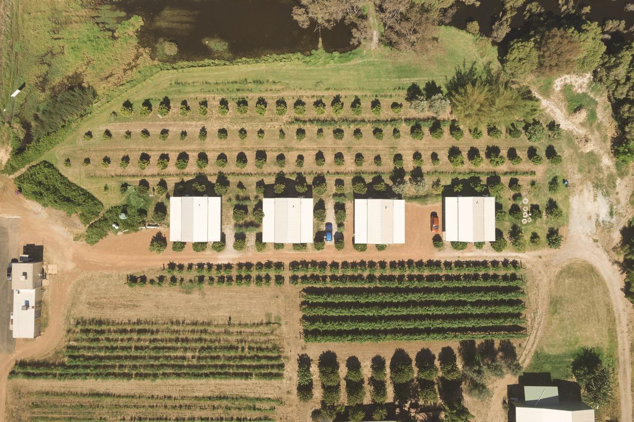 Swan Valley Sisters Henley Brook Exteriér fotografie
